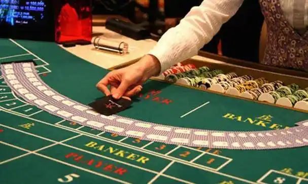 811bet11